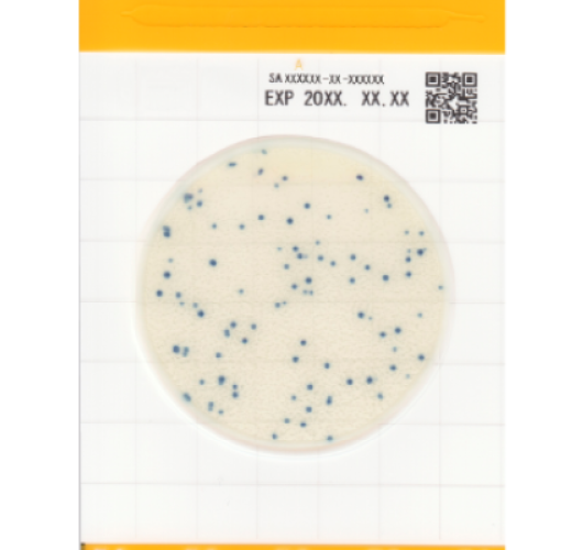 Стафилококк золотистый - Easy Plate SA